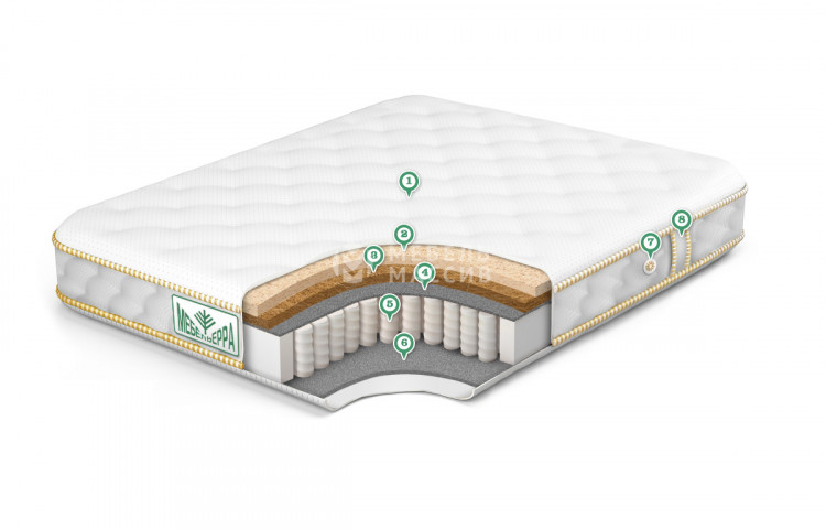 Матрас Eco Strut Hard